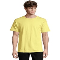 Hanes Essentials Erkek Kısa Kollu tişört