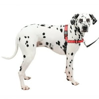 PetSafe Deluxe Kolay Yürüyüş Köpek Koşum Takımı, Çekme Yok Köpek Koşum Takımı Tasma ve Koşum Eğitimi için mükemmel