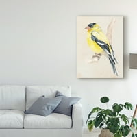 Marka Güzel Sanatlar Jennifer Paxton Parker'ın 'Şube ııı'teki Küçük Kuş' Tuval Sanatı