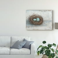 Marka Güzel Sanatlar 'Rustik Kuş Yuvası I' Tuval Sanatı Ethan Harper