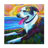 Robert Phelps Sanatı 'Deniz Duvarından Köpek' Tuval Sanatı